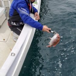 遊漁船 ニライカナイ 釣果