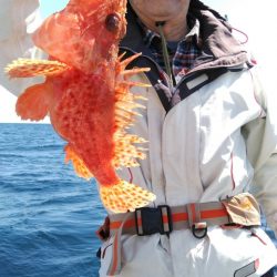 遊漁船 新鋭丸 釣果