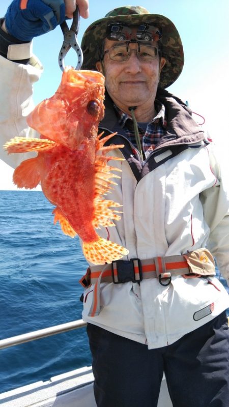 遊漁船 新鋭丸 釣果