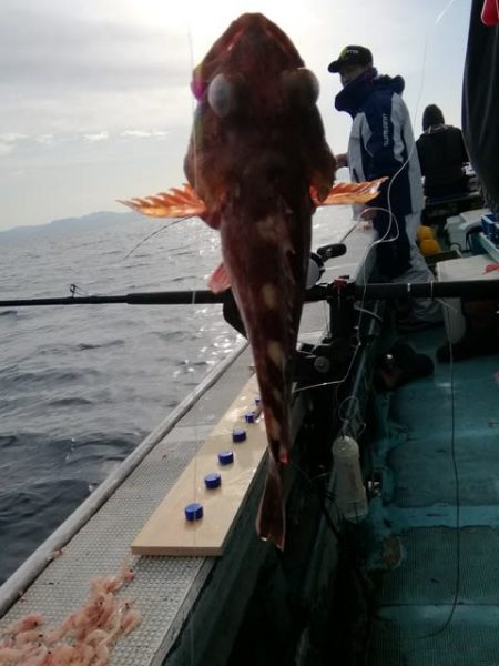 松福丸 釣果
