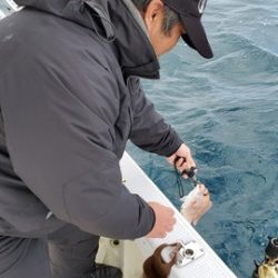 遊漁船 ニライカナイ 釣果