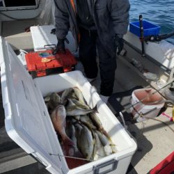 第八大安丸 釣果