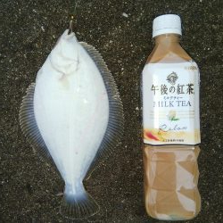 やっと釣れた！！