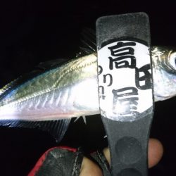 人生初エステル！！