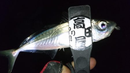 人生初エステル！！