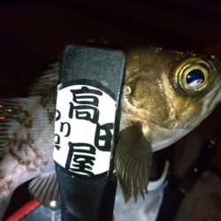 ハードメバル!!