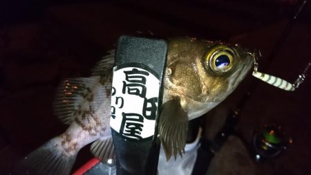 ハードメバル!!