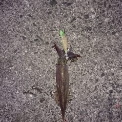 平日でも満員御礼