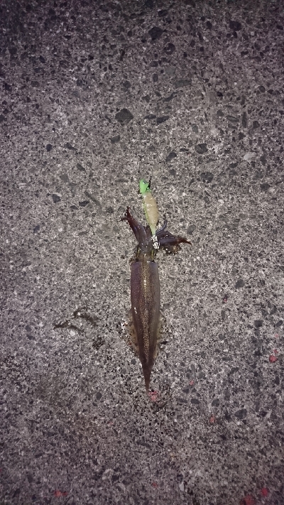 平日でも満員御礼