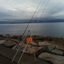 やっと釣れた！！