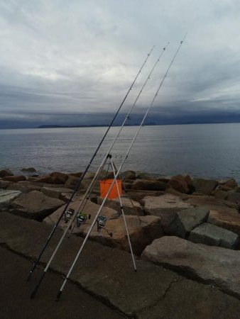 やっと釣れた！！