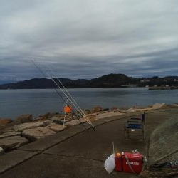 やっと釣れた！！