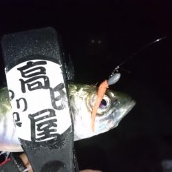 人生初エステル！！