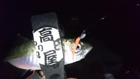 人生初エステル！！