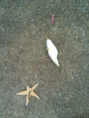 やっと釣れた！！