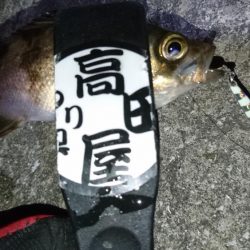 ジグパラメバリング！！