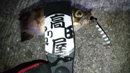 ジグパラメバリング！！