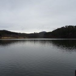 志高湖フィッシング 釣果