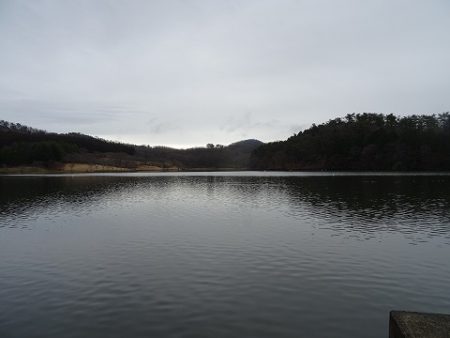 志高湖フィッシング 釣果