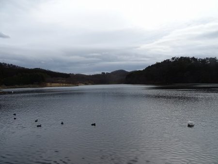 志高湖フィッシング 釣果