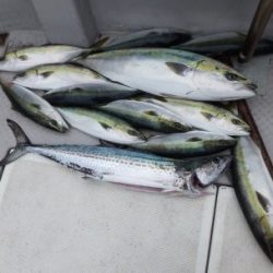 えすぽあ 釣果