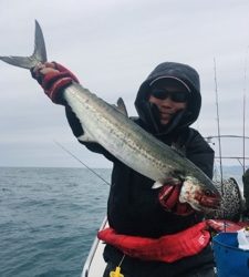 シーモンキー 釣果