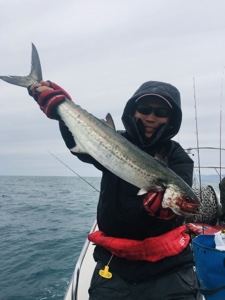 シーモンキー 釣果