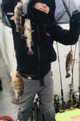 シーモンキー 釣果