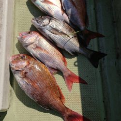 FISHING RISKY 釣果