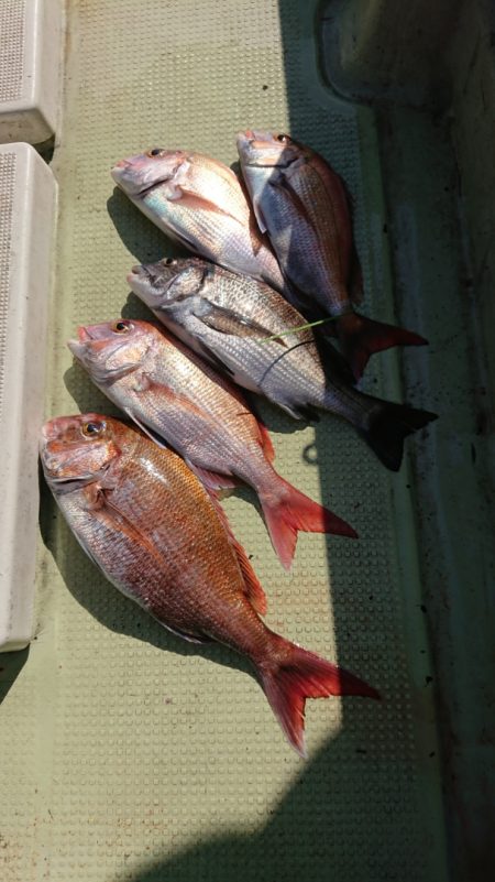 FISHING RISKY 釣果