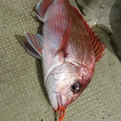 FISHING RISKY 釣果