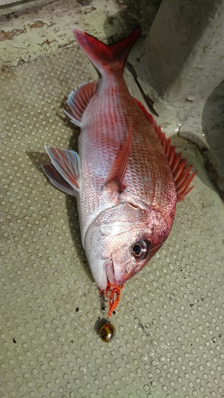 FISHING RISKY 釣果