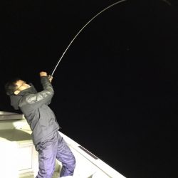 FISHING RISKY 釣果