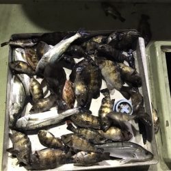 FISHING RISKY 釣果