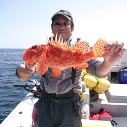 エンペラー 釣果