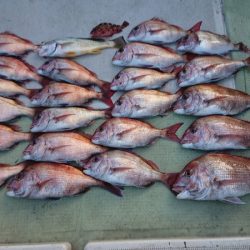 FISHING RISKY 釣果