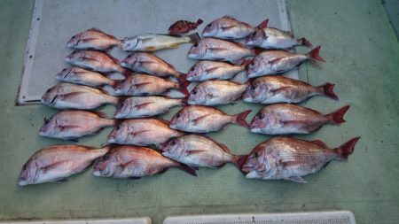 FISHING RISKY 釣果