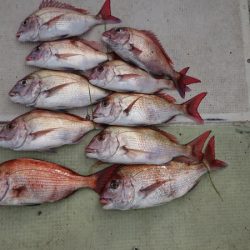 FISHING RISKY 釣果