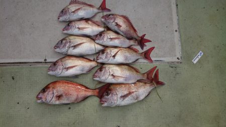 FISHING RISKY 釣果