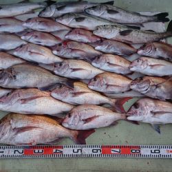 FISHING RISKY 釣果