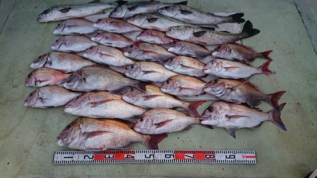 FISHING RISKY 釣果