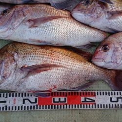 FISHING RISKY 釣果