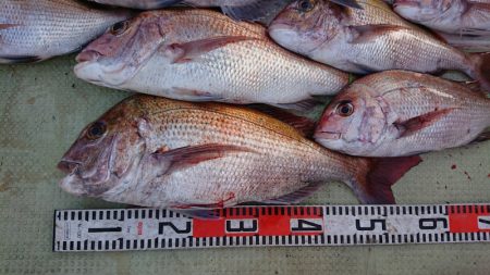 FISHING RISKY 釣果