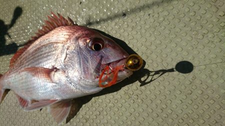 FISHING RISKY 釣果