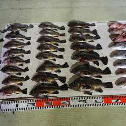 FISHING RISKY 釣果