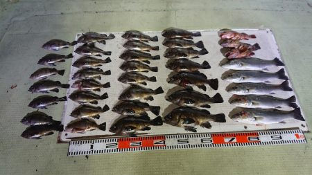 FISHING RISKY 釣果