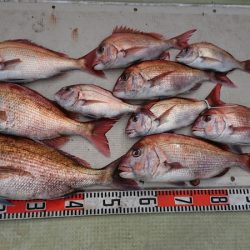 FISHING RISKY 釣果