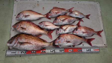 FISHING RISKY 釣果