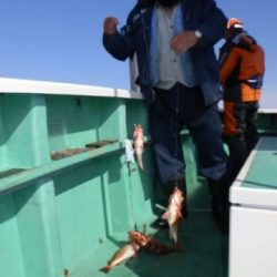 第二むつ漁丸 釣果