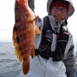 鯛紅丸 釣果